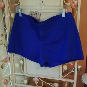Womans Gap Shorts Size 8 Royal Blue